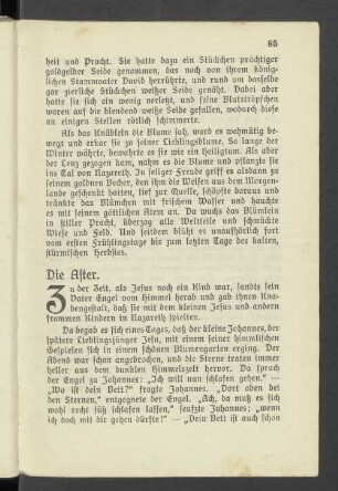Die Aster.