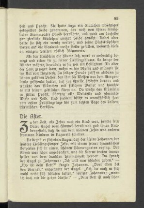 Die Aster.