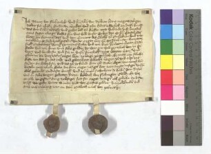 Fertigung des Raven von Fuhrenvelt um seine Leibeigenen in Zaisenhausen.