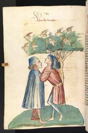 Die Hornisse (Crabro)