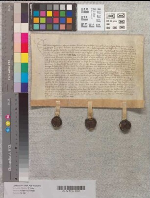 Der Richter Johann Reghewert zu Warendorf bekundet, daß Heinrich Zwartescriver, Bürger zu Münster, dem Kloster Marienfeld Renten aus einem Kamp vorm Hörstertor verkauft habe. Bürge: Temme Hudepol. Zeugen: Bertram von Esschedorpe, Hermann Hudepol.