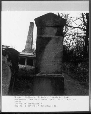 Grabstein von Sophie Strauss (gestorben 1906.10.12)