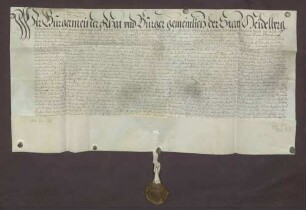 Huldigung der Stadt Heidelberg gegenüber Kurfürst Friedrich IV. von der Pfalz wegen der Erbfolge dessen ltesten Sohnes.
