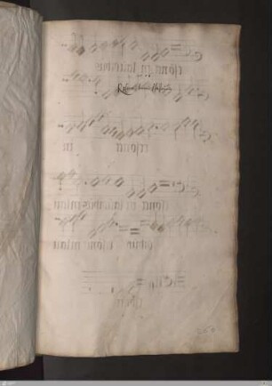 1556 Resonet Joannis Hallenwin