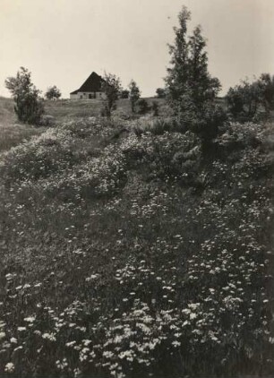 Haus am Rande des Georgenfelder Hochmoores bei Zinnwald-Georgenfeld