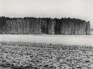 Acker und Nadelwald, grafisch