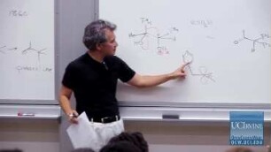 Lec 09. Pt. 3. & Lec. 10. Migratory Displacements