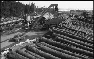 Rötenbach: großes Holzverarbeitungswerk Krebs, Holzlager