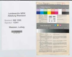 Entnazifizierung Ludwig Maassen, geb. 24.08.1905 (Vers.Angest.)