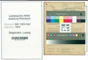 Entnazifizierung Ludwig Stegemann , geb. 26.08.1874 (Schneidermeister)