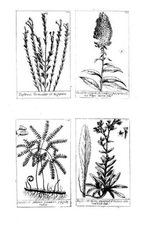 1204-1207