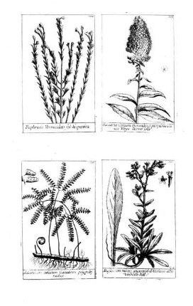 1204-1207