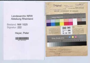 Entnazifizierung Peter Heyer , geb. 06.01.1906 (Steuerinspektor)