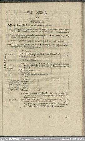 Tab. XXXIII. De Intestinis