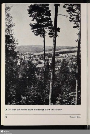 Staatsbad Elster