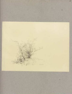 Klebebände, Band 20, Seite 83