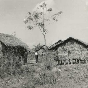 Akyab, Burma. Bambushütten mit Palmblattabdeckung
