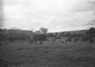 Mbenkuru-Tal gegen Ukinga-Minjoka : Blick in eine Savannenlandschaft
