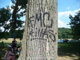 FMC KiNAS