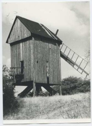 Bockwindmühle Borne bei Bad Belzig