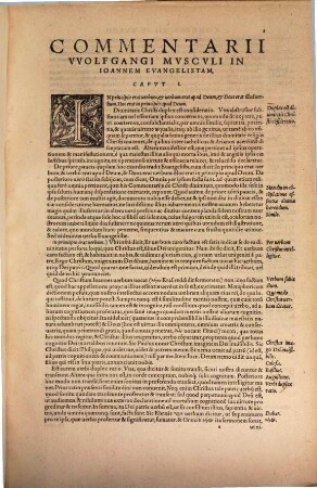 Commentarii In Evangelivm Ioannis : In Tres Heptadas Digesti