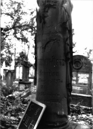 Grabstein B II A/5/8 (Detailaufnahme 2)