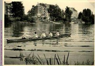 Jungmann-Gig-Doppelvierer des CFRV mit Steuerfrau bei der Kasseler Ruderregatta am 7.9.1952