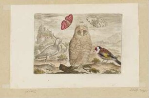 Kiebitz, Waldohreule und Stieglitz, Blatt 12 der Folge "Vögel"