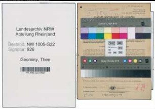 Entnazifizierung Theo Geominy , geb. 16.11.1915 (Grosshaendler)