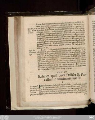 Cap. IV. Exhibet, quid circa Delicta & Processum in continenti iuris sit.