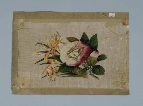Painting on rice paper (mark paper): Peony and lilies
