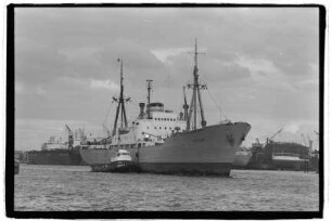 Neptun (1952), Neptun.- Dampfschifffahrts-Gesellschaft „Neptun“, Neptun Linie, D.G. "Neptun", Bremen