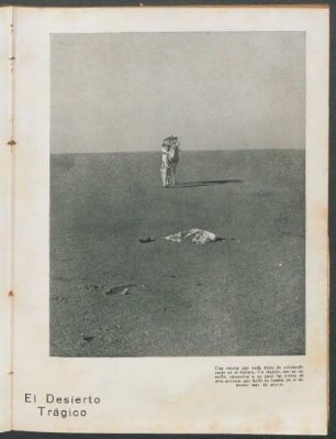 El desierto trágico