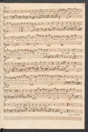 5. Recit[ativo] (T): Die Sünd hat uns verderbet sehr