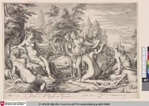 [Diana entdeckt die Schwangerschaft der Kallisto; Diana Discovering Callisto's Pregnancy]