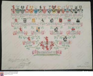 Ahnenprobe des Philipp Gottfried Amandus Johann Carl Adalbert / Bruder des Johann Friedrich Carl Zobel v. Giebelstadt. - ausgefertigt 1762, Pergament, siehe 518