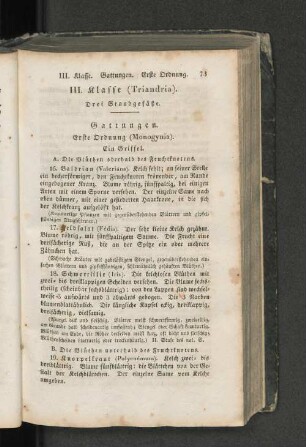 III. Klasse ( Triandria)