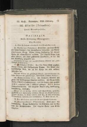 III. Klasse ( Triandria)