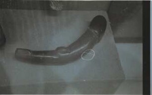 Chichen Itza, Wooden Phallus (CHN: Msc.)