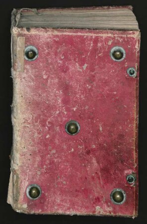 Engelberger Predigten - Paradisus animae (dt.) : Ms. germ. oct. 700