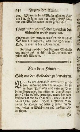 Von dem Hintern.