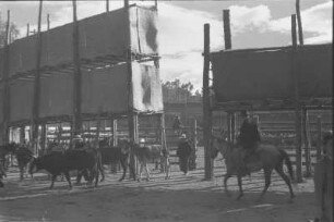 Viehmarkt (Lateinamerika-Aufenthalte 1934/1942 – 6. Kolumbien 1938-1942)