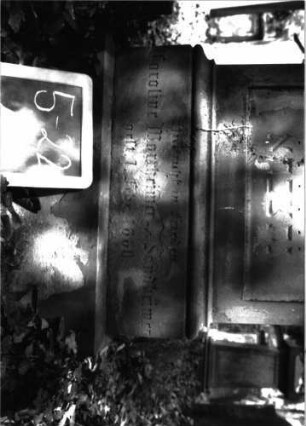 Grabstein A II/5722: Grabstein A II/5/22 (Detailaufnahme)