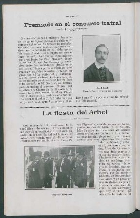 La fiesta del árbol