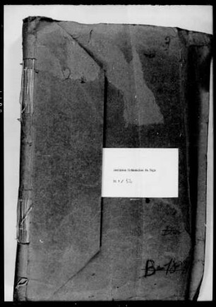 Berufung von außeramtlichen Mitgliedern und außeramtlichen stellvertretenden Mitgliedern für das Rechnungsjahr 1909