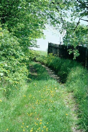 Fahrweg am Dorfrand