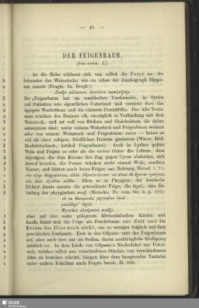 Der Feigenbaum