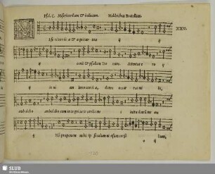 XXV. Brätel, Ulrich: Misericordiam et judicium