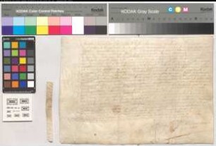 Exekutions-Urkunde des Amatus Ignatius Coriache, Kanonikers zu Mecheln und Offizials.