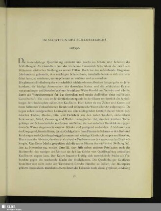 Im Schatten Des Schlossberges